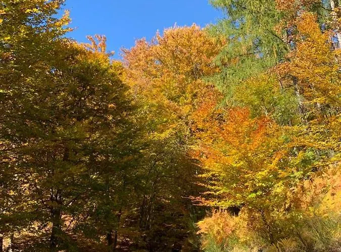 Kinghouse 아파트 *